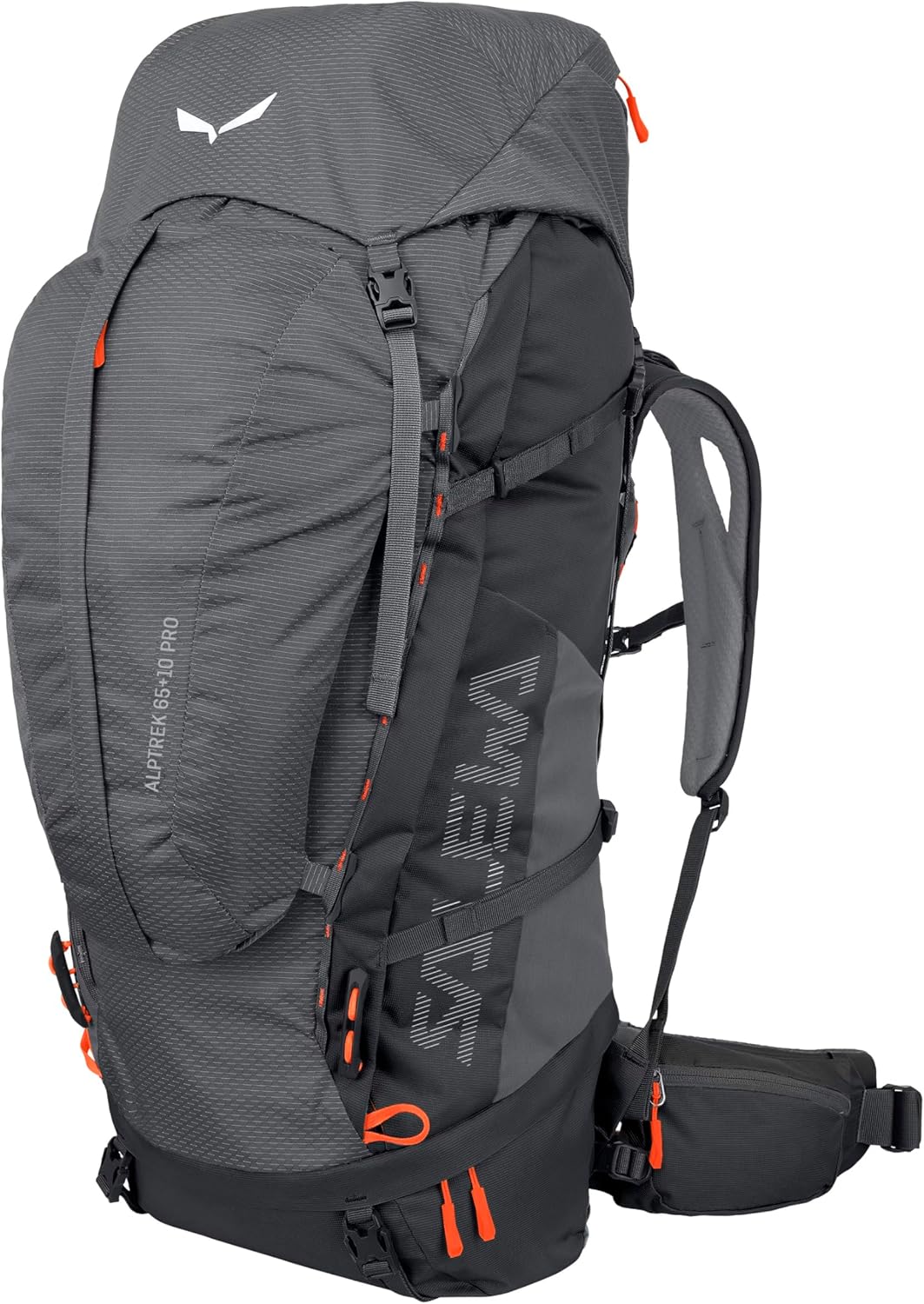 SALEWA Alptrek 65+10 L Pro Zaino